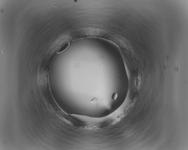 X0000085260172200703091333