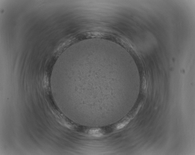 X0000085260173200703091333