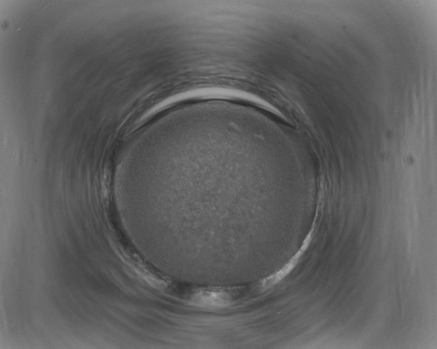 X0000085260174200703091333