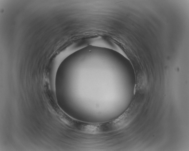 X0000085260176200703091333