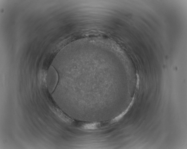 X0000085260178200703091333