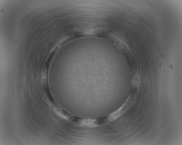 X0000085260179200703091333