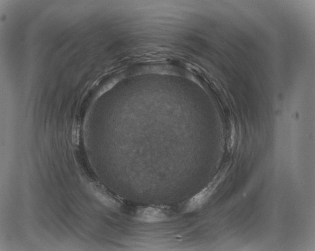 X0000085260180200703091333