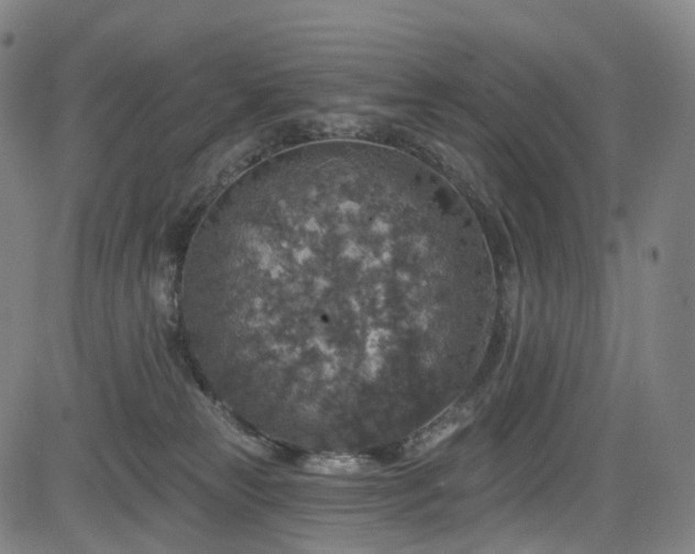 X0000085260181200703091333