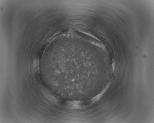 X0000085260182200703091333