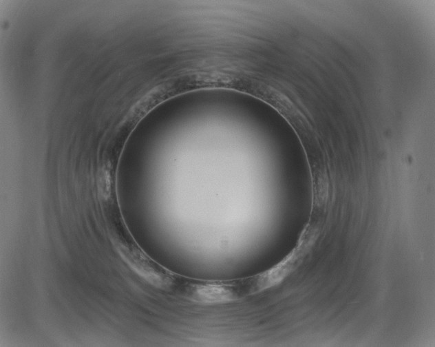 X0000085260183200703091333