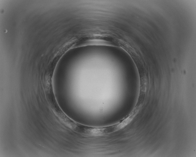 X0000085260184200703091333