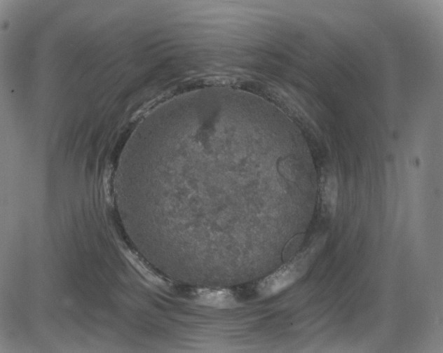 X0000085260185200703091333