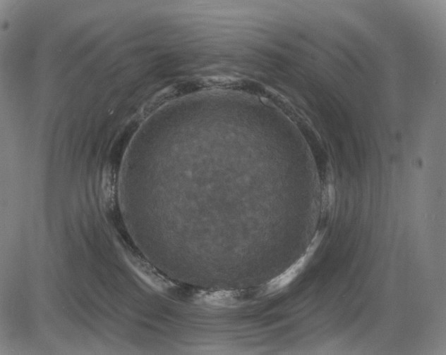 X0000085260186200703091333