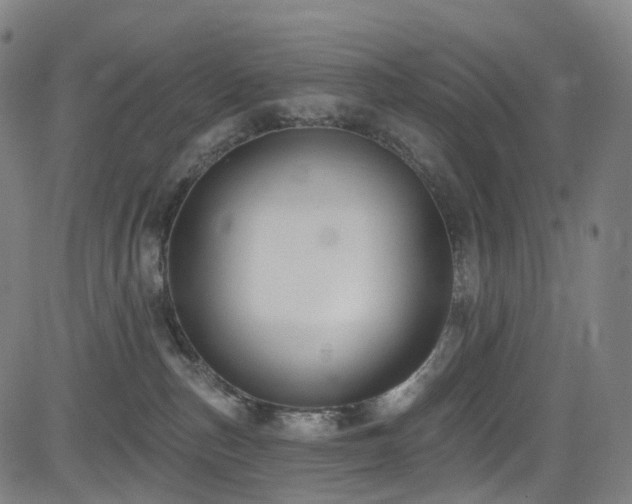 X0000085260187200703091333