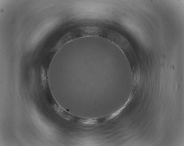 X0000085260191200703091333