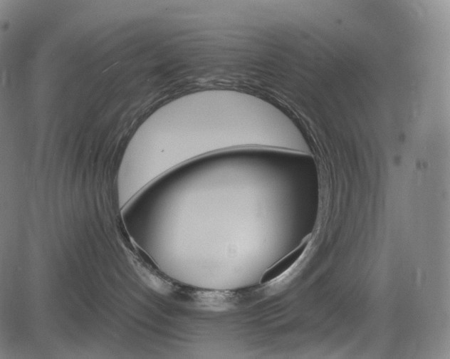 X0000085260192200703091333