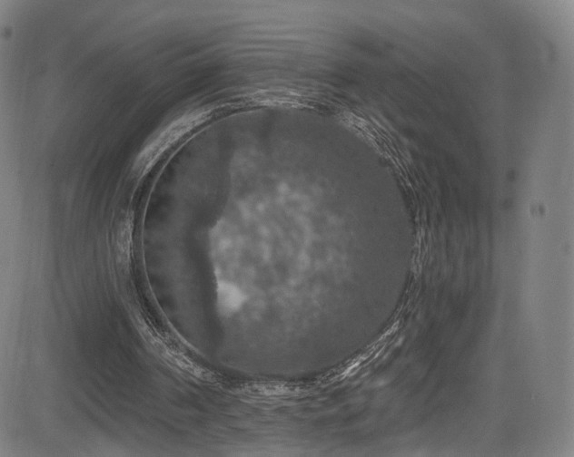 X0000085260194200703091332