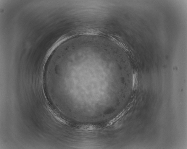 X0000085260195200703091332