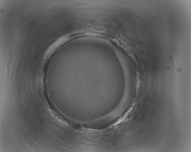 X0000085260197200703091332