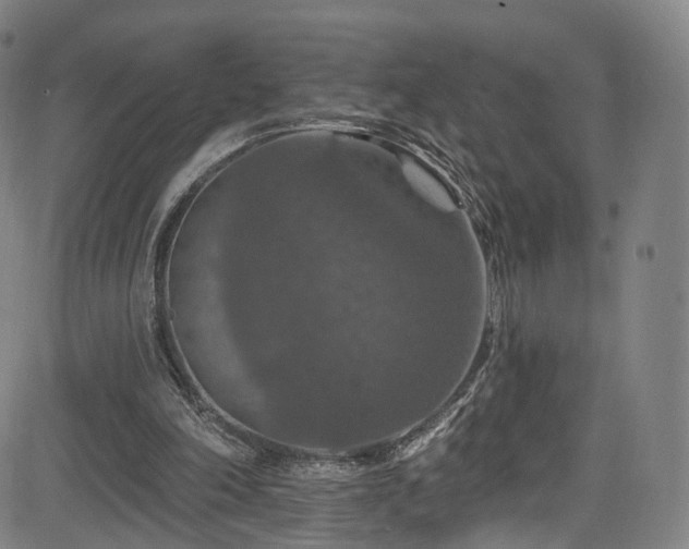 X0000085260198200703091332