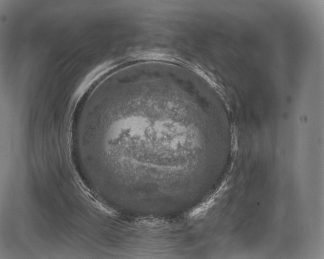 X0000085260199200703091332