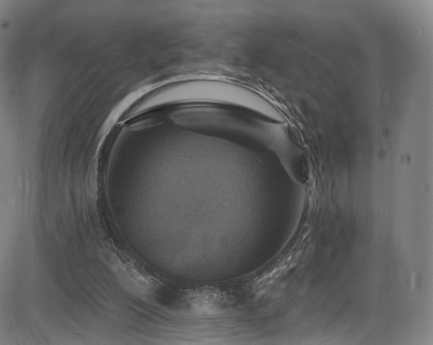 X0000085260200200703091332