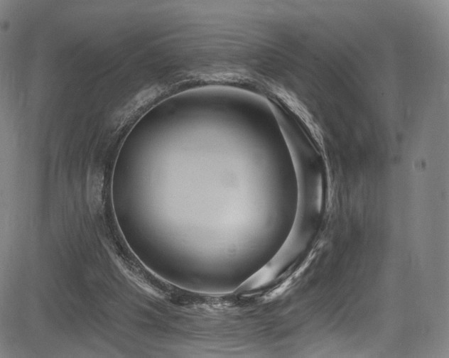 X0000085260201200703091332