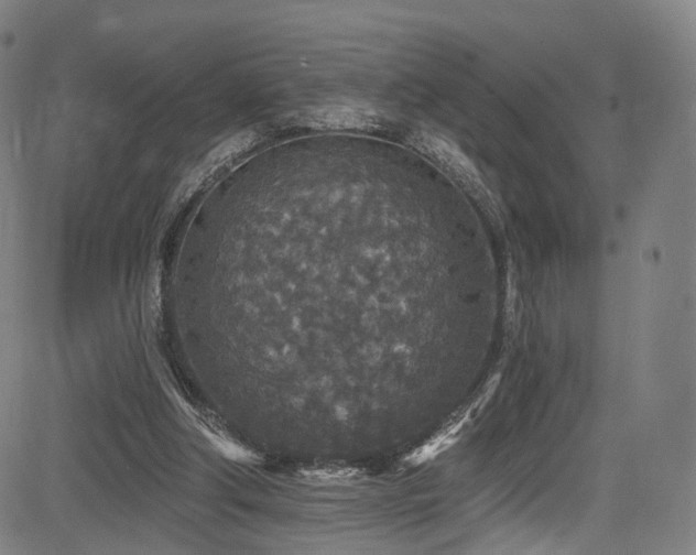 X0000085260202200703091332