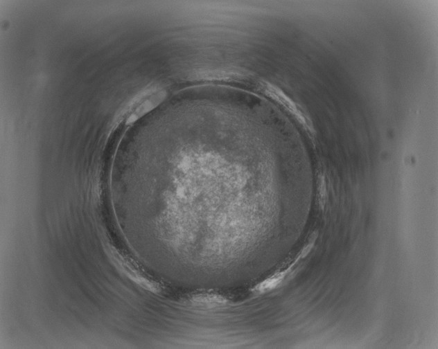 X0000085260203200703091332