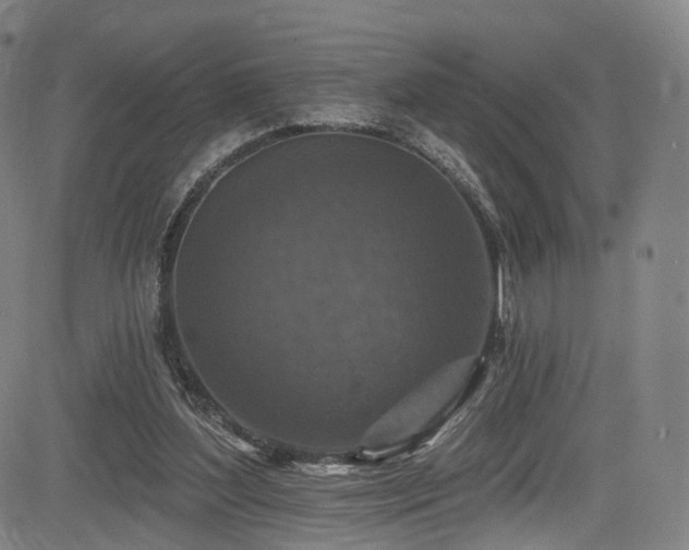 X0000085260204200703091332