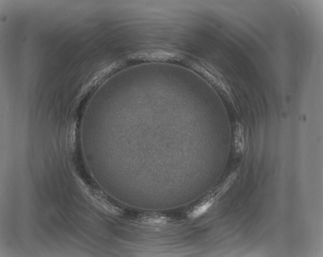 X0000085260206200703091332