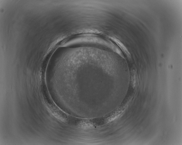 X0000085260207200703091332