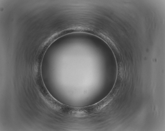 X0000085260208200703091332