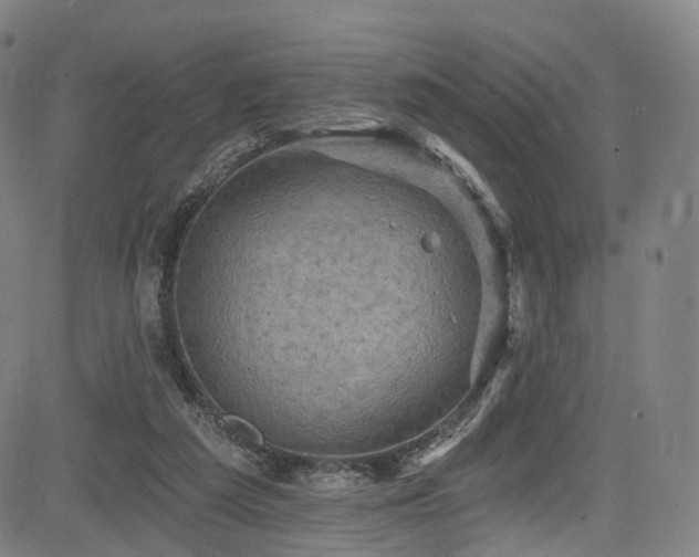 X0000085260209200703091332