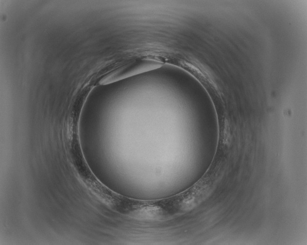 X0000085260210200703091332