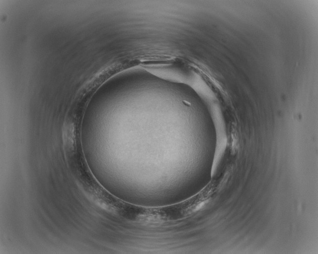 X0000085260211200703091332