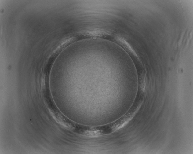 X0000085260213200703091332