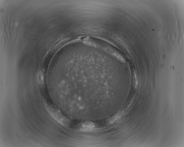 X0000085260214200703091332