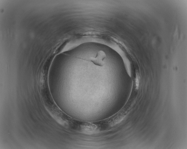 X0000085260215200703091332