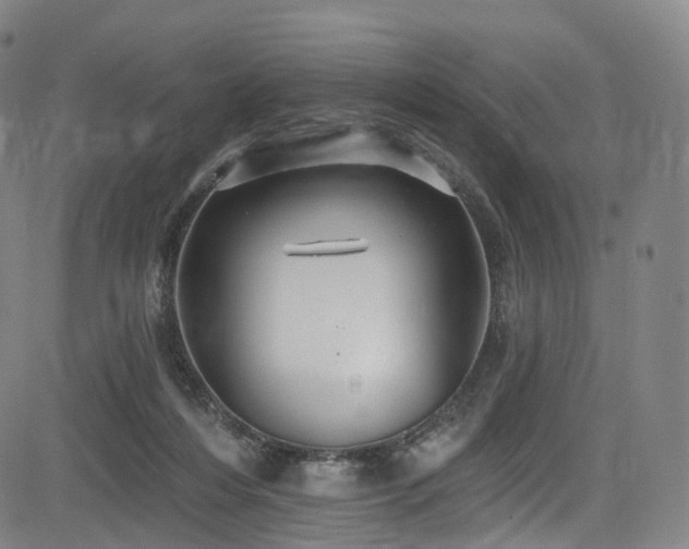 X0000085260216200703091332