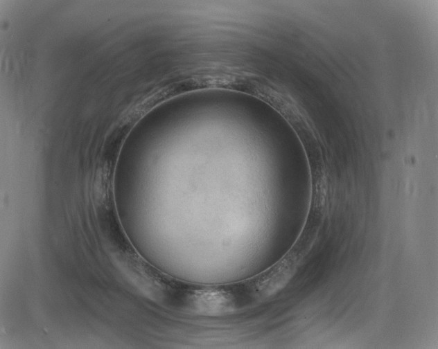 X0000085260218200703091332