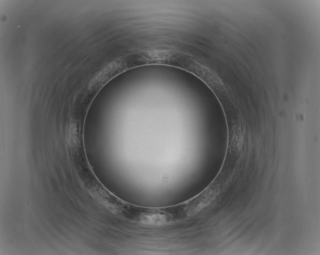 X0000085260220200703091332