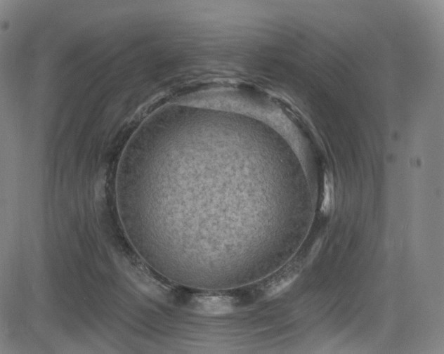 X0000085260221200703091332