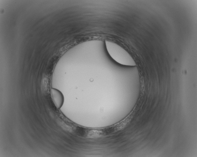 X0000085260222200703091332