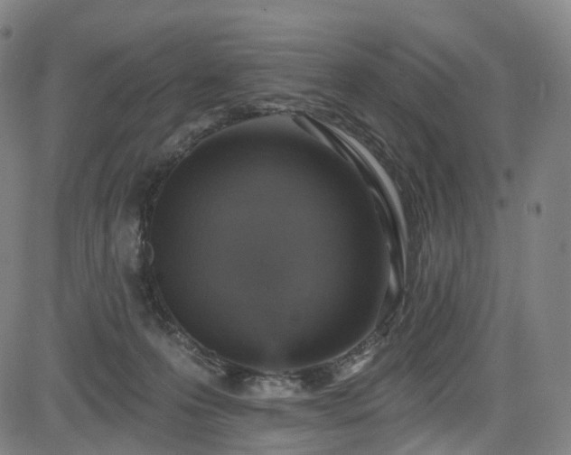 X0000085260223200703091332