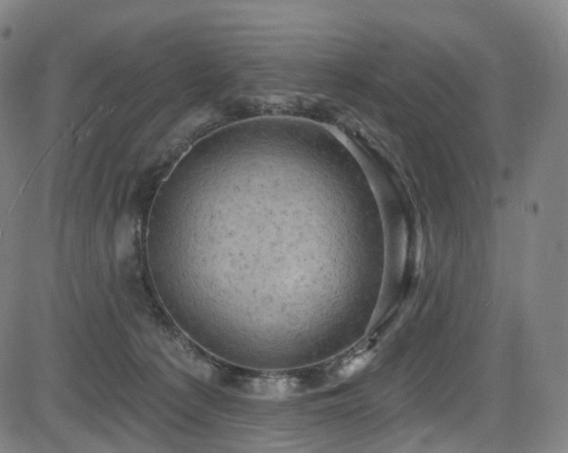 X0000085260225200703091332