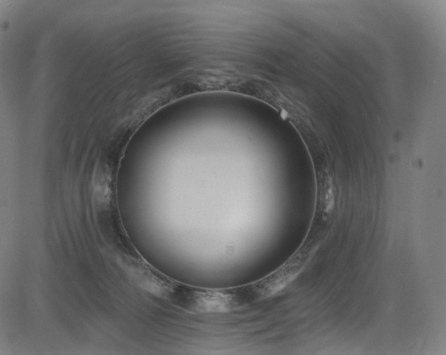 X0000085260226200703091332