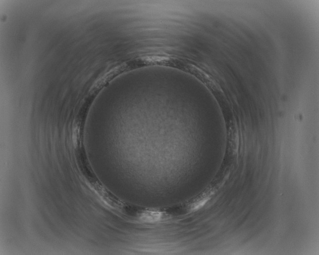 X0000085260227200703091332