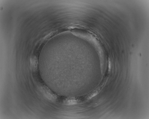 X0000085260228200703091332