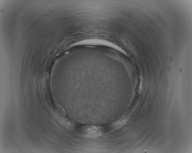 X0000085260229200703091332