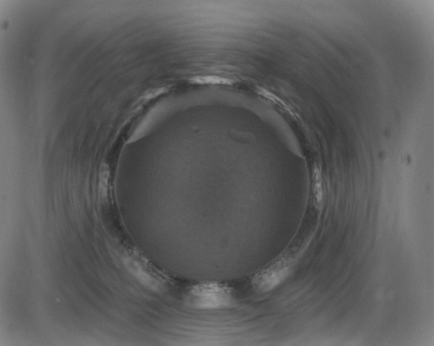 X0000085260231200703091332