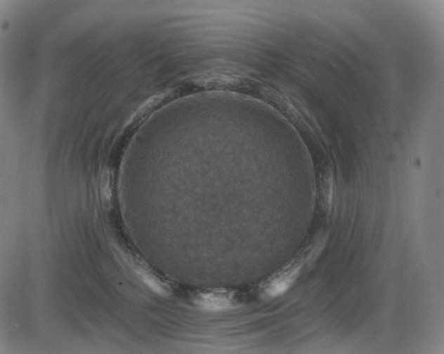 X0000085260232200703091332