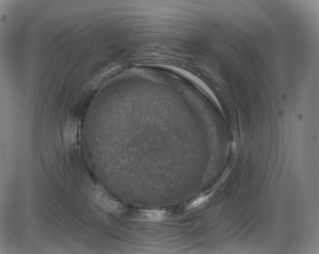 X0000085260233200703091332