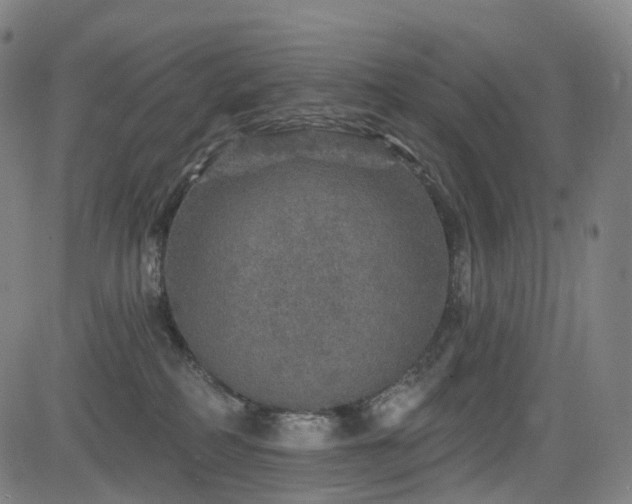 X0000085260234200703091332